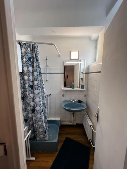 Apartment Le Nid Berruyer En Centre-ville